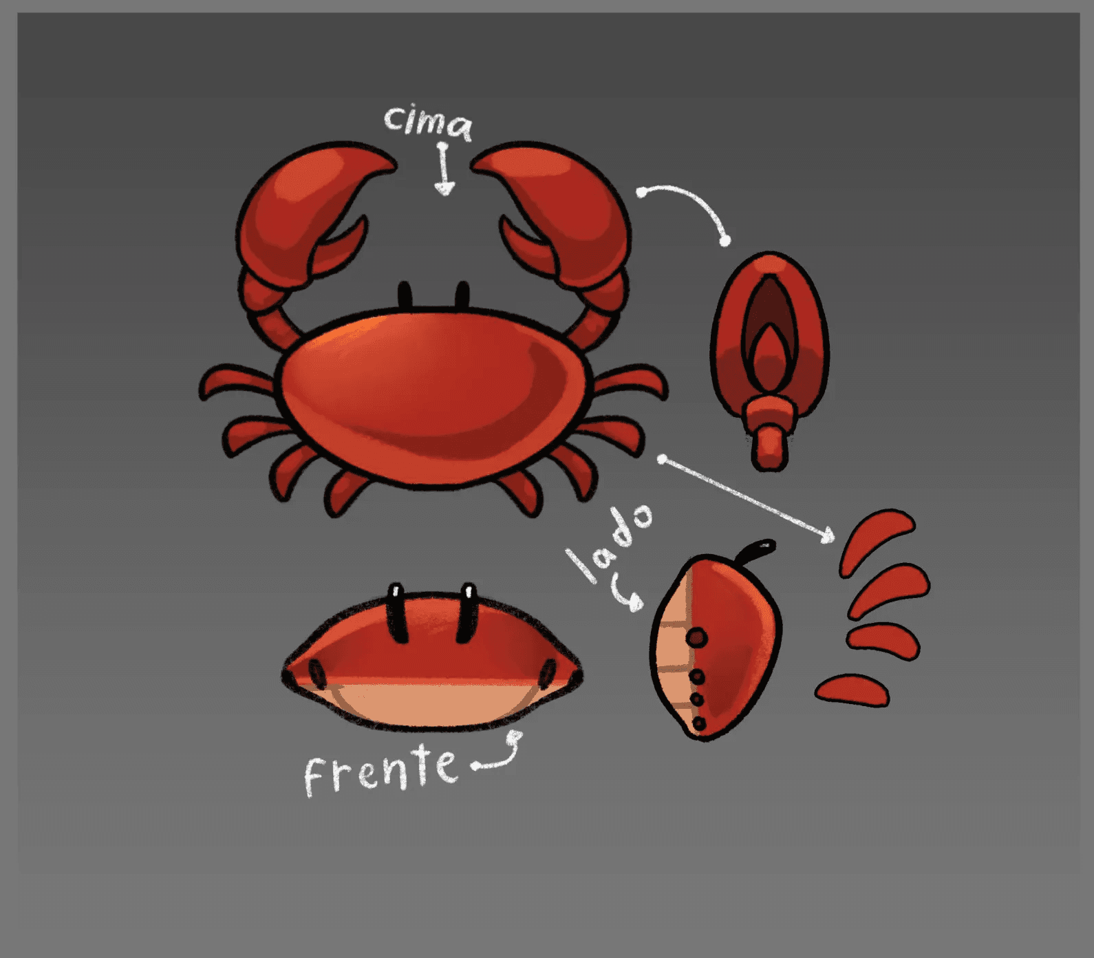 Concept sheet defining the shape and construction of the stylized crab prop